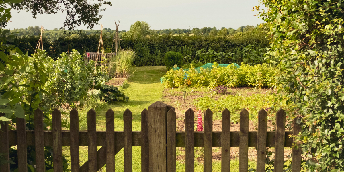 Sunny allotment